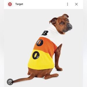 Halloween Candy Corn Boo Dog and Cat Sweater from Hyde & EEK! Boutique™!